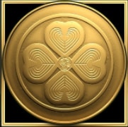 Wild symbols explained